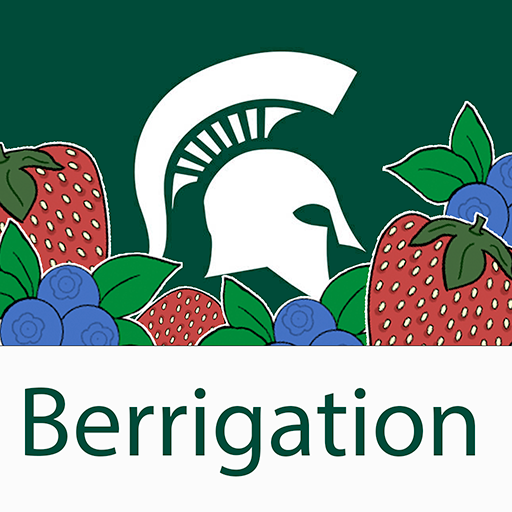 Berrigation icon