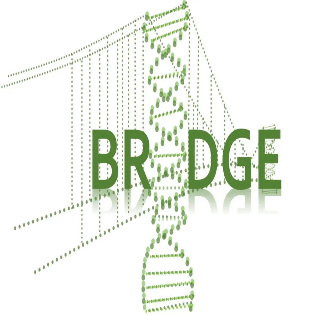 GeneBridge icon