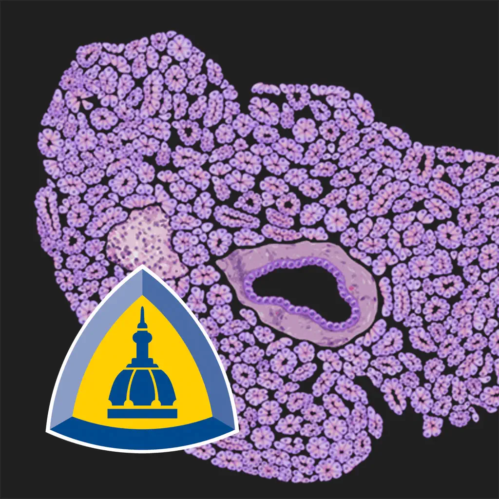 Johns Hopkins Atlas of Pancreatic Pathology icon