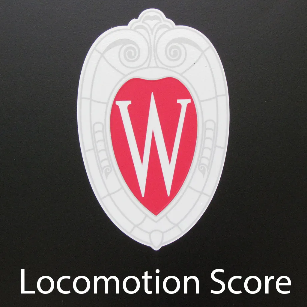 Loco Score icon