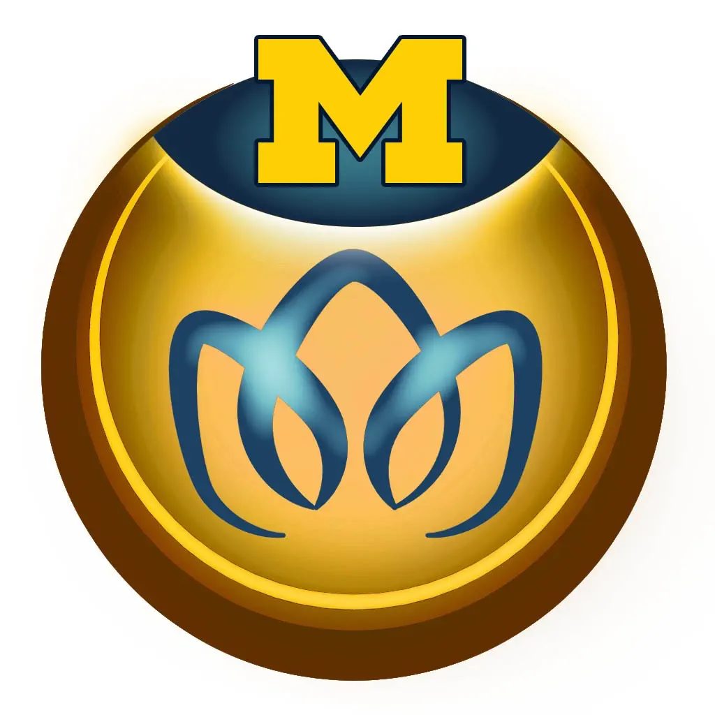 MeTime PainRelief icon