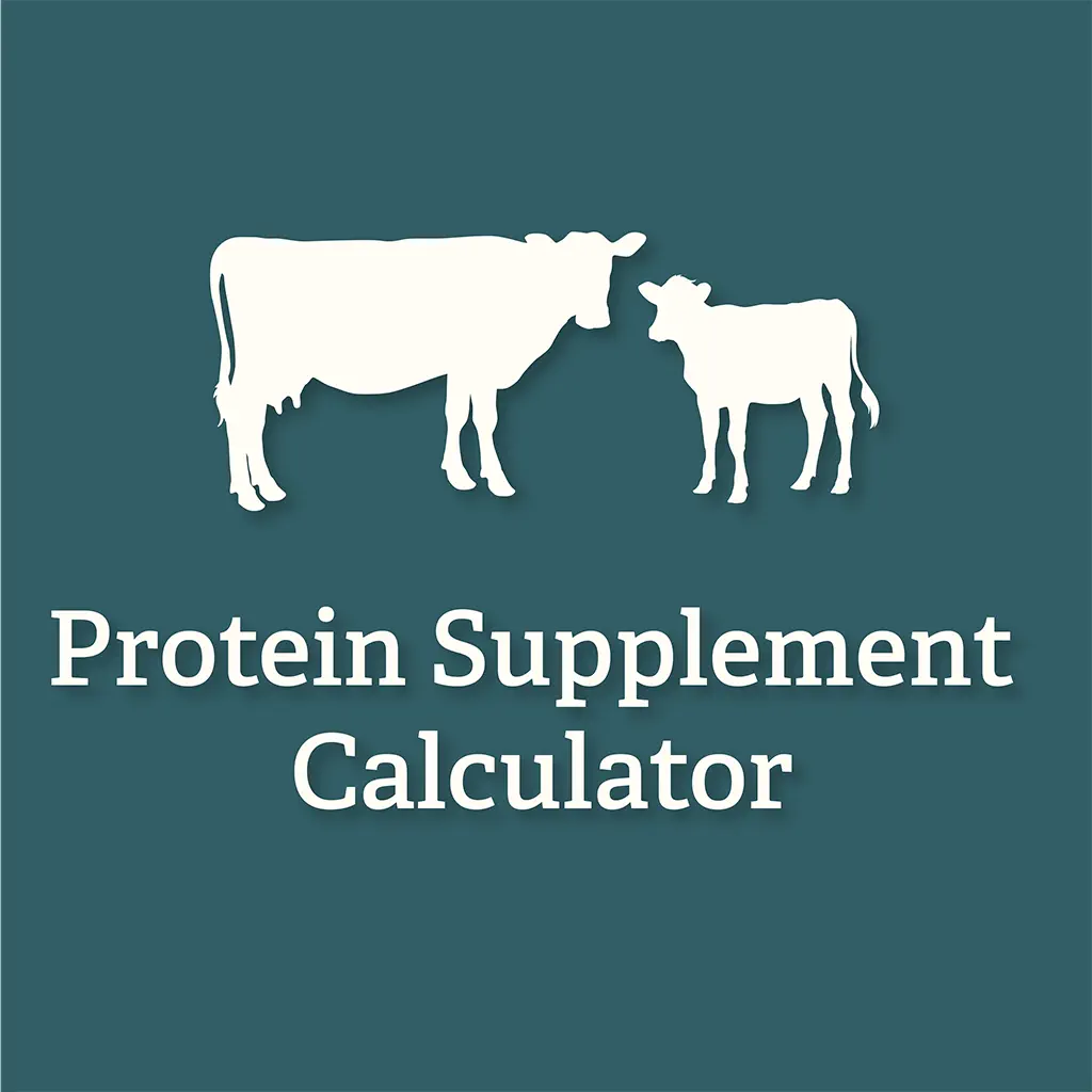 Protein Supplement Calculator icon