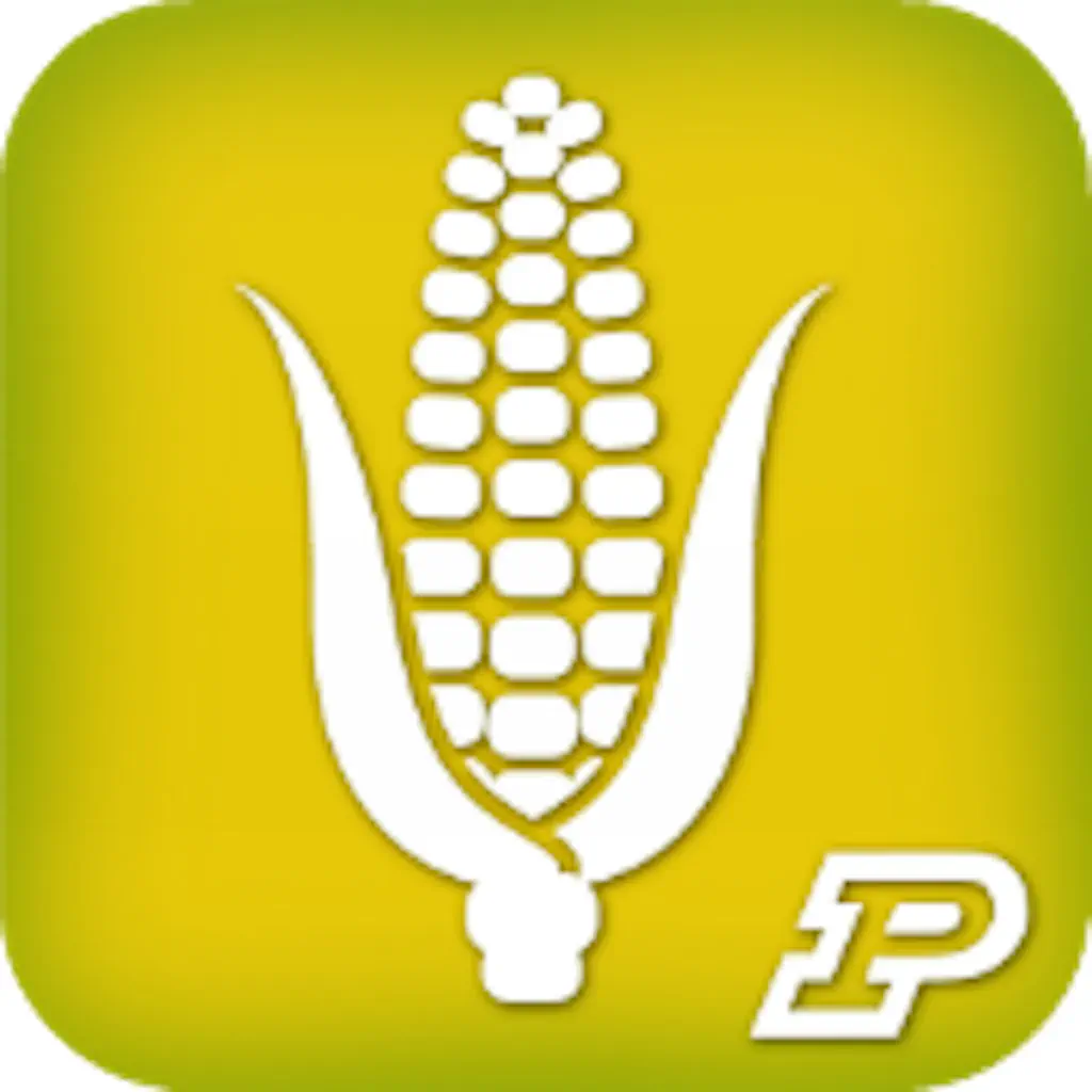 Purdue Extension Corn Field Scout icon