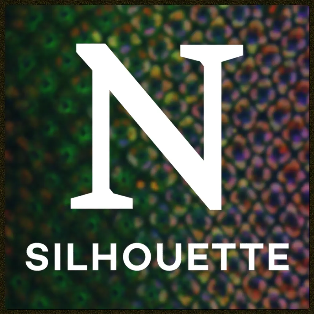 Silhouette Connect icon