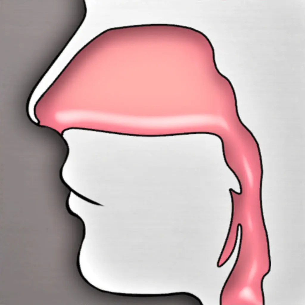 Upper Respiratory Virtual Lab icon