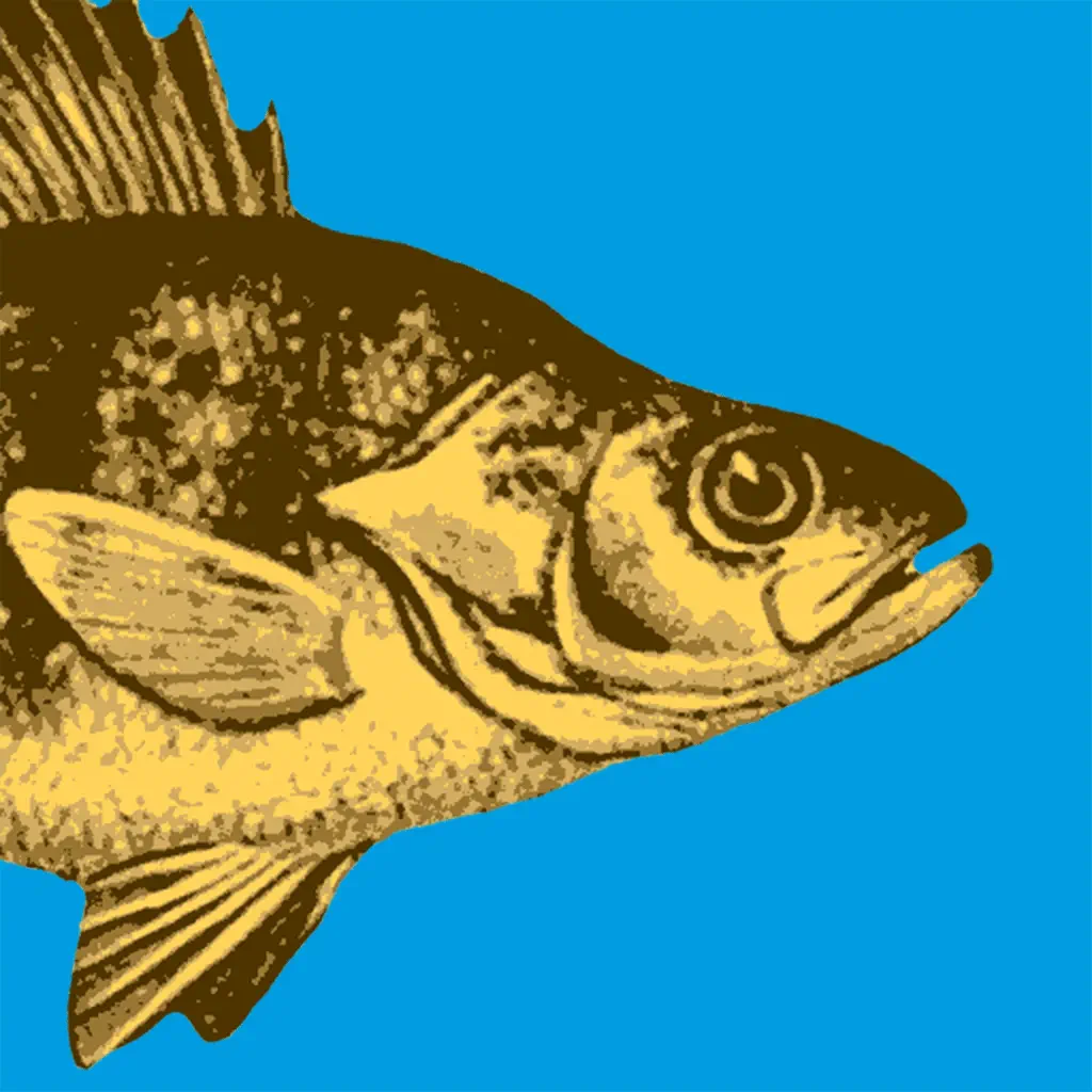 WI Fish ID icon