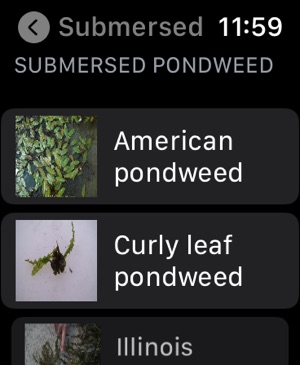 Aquatic Plants screenshot 11 of 12