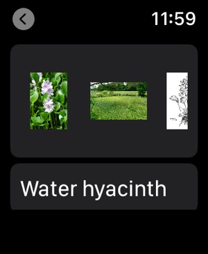 Aquatic Plants screenshot 12 of 12