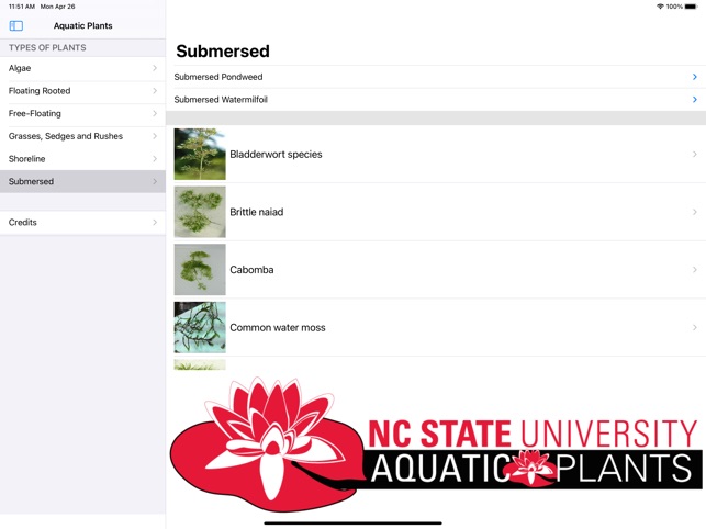 Aquatic Plants screenshot 3 of 12