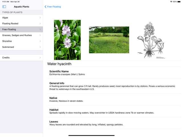 Aquatic Plants screenshot 4 of 12