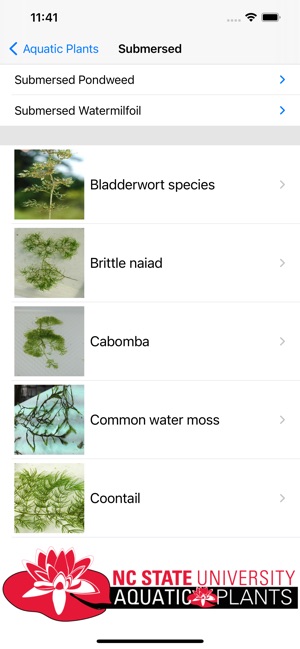 Aquatic Plants screenshot 7 of 12