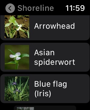Aquatic Plants screenshot 10 of 12