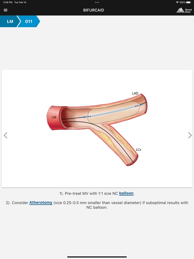 BifurcAID screenshot 3 of 6