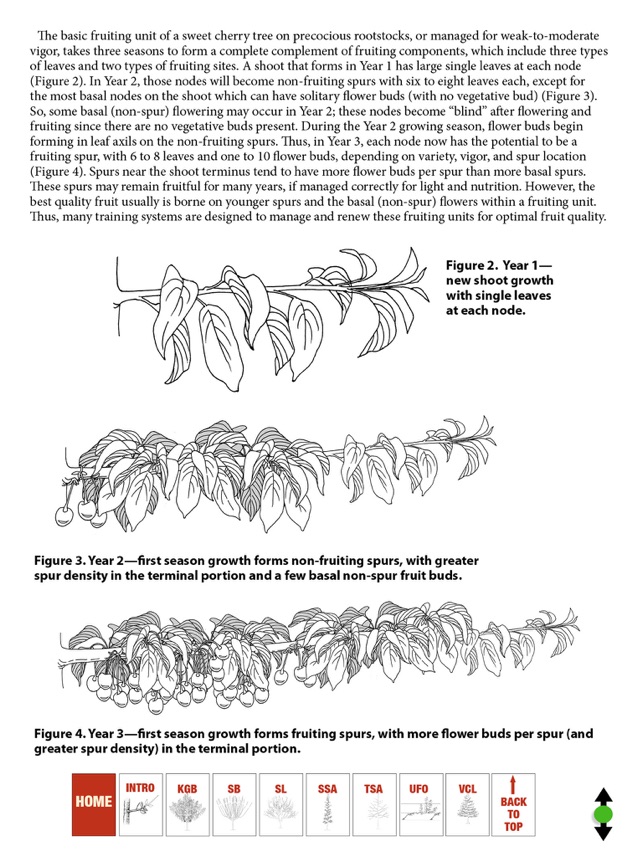 Cherry Training Systems screenshot 2 of 8