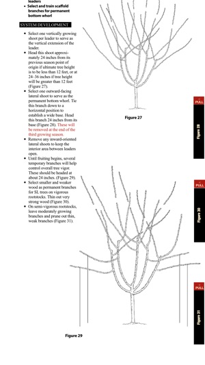 Cherry Training Systems screenshot 6 of 8
