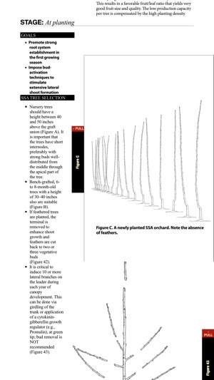 Cherry Training Systems screenshot 7 of 8