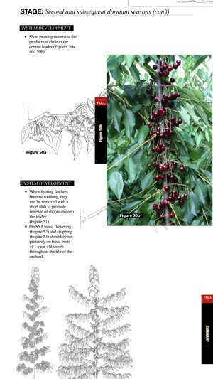 Cherry Training Systems screenshot 8 of 8