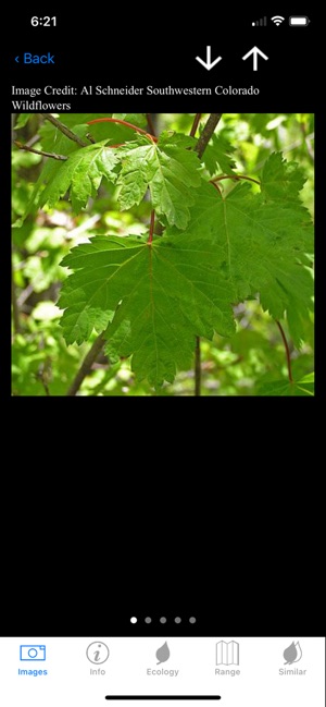 Colorado Wetlands Mobile App screenshot 8 of 13