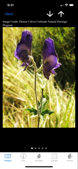 Colorado Wetlands Mobile App screenshot 9 of 13
