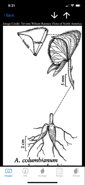 Colorado Wetlands Mobile App screenshot 10 of 13