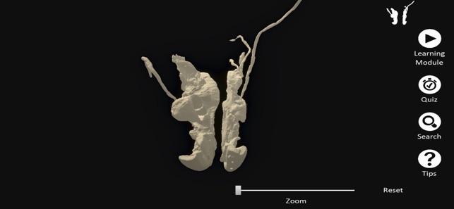 DigitalFemaleRepro screenshot 1 of 10