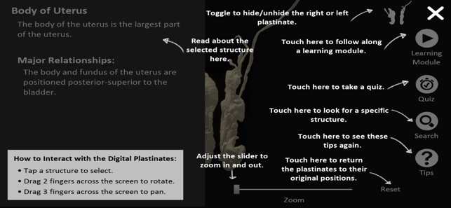 DigitalFemaleRepro screenshot 2 of 10