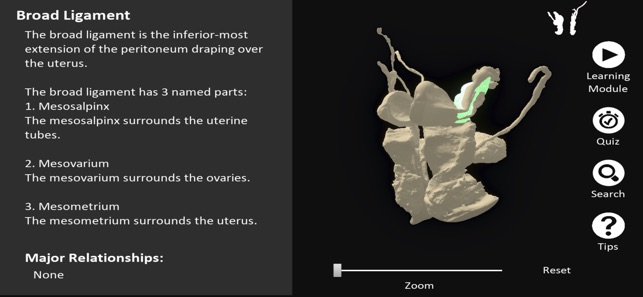 DigitalFemaleRepro screenshot 3 of 10