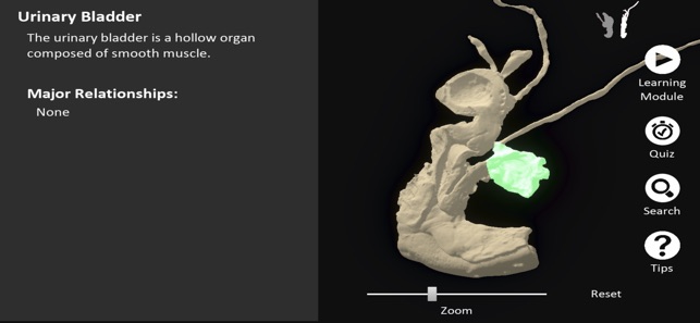 DigitalFemaleRepro screenshot 4 of 10