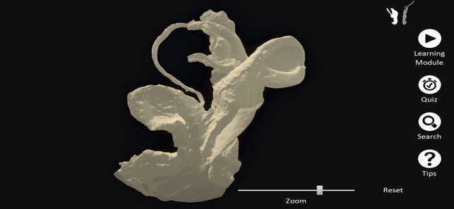 DigitalFemaleRepro screenshot 5 of 10