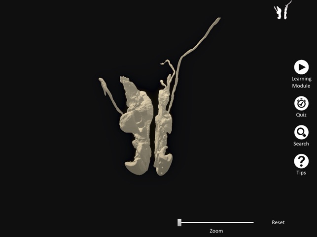 DigitalFemaleRepro screenshot 6 of 10