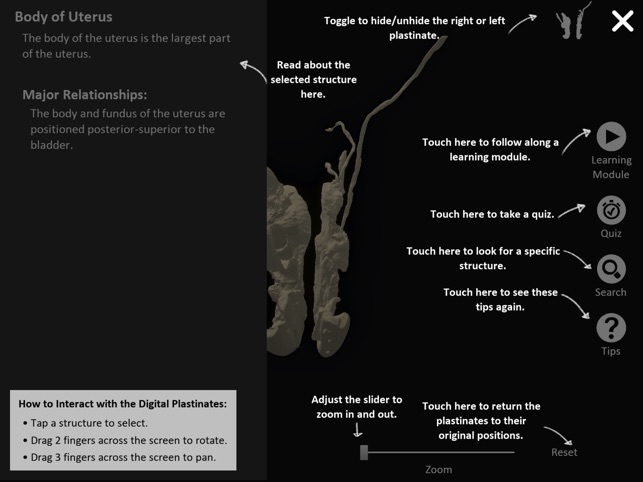 DigitalFemaleRepro screenshot 7 of 10