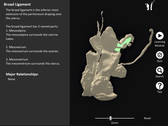 DigitalFemaleRepro screenshot 8 of 10