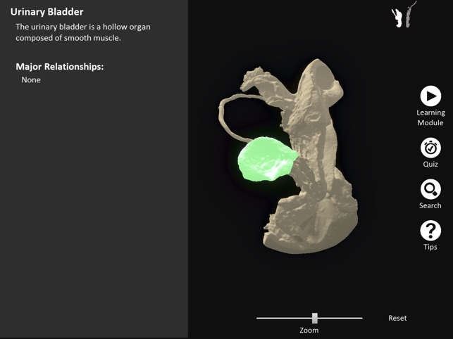 DigitalFemaleRepro screenshot 9 of 10