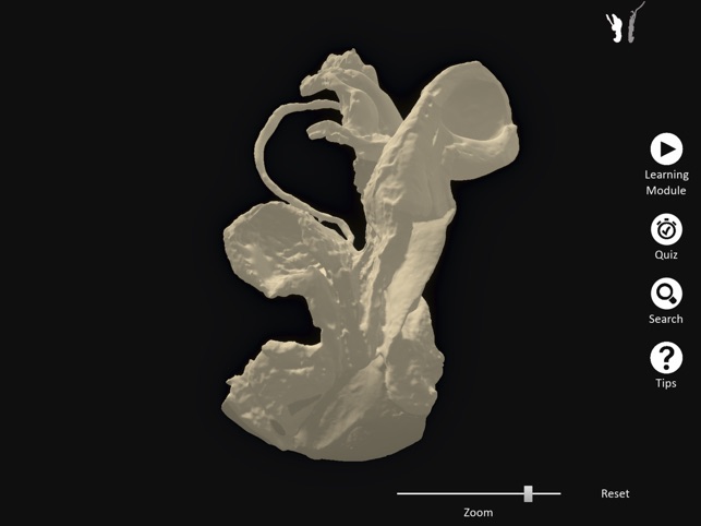 DigitalFemaleRepro screenshot 10 of 10