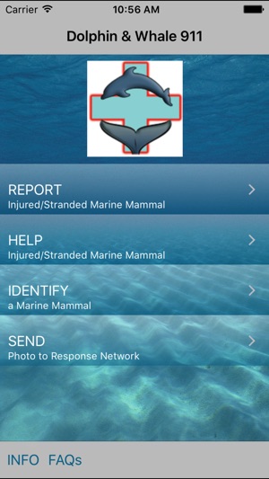 Dolphin & Whale 911 screenshot 2 of 4