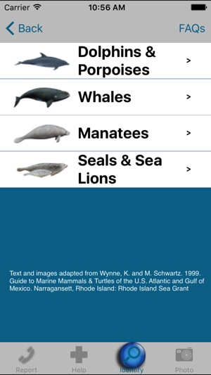 Dolphin & Whale 911 screenshot 4 of 4