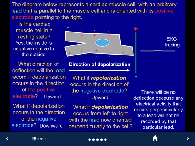 EKG - SecondLook screenshot 2 of 10