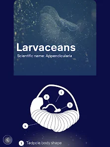 FathomVerse screenshot 31 of 36