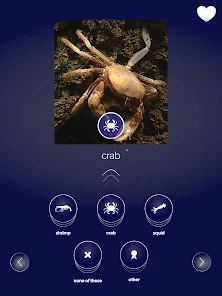 FathomVerse screenshot 34 of 36