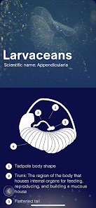 FathomVerse screenshot 23 of 36