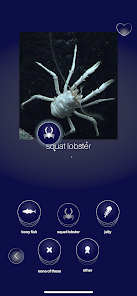 FathomVerse screenshot 26 of 36