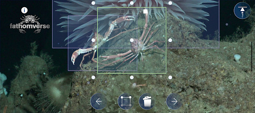 FathomVerse screenshot 27 of 36