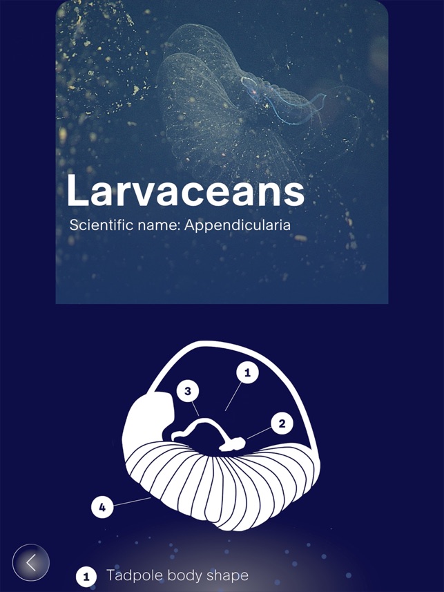 FathomVerse screenshot 13 of 36