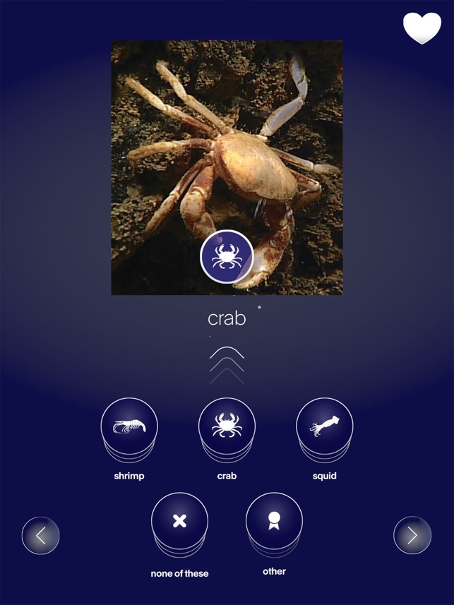 FathomVerse screenshot 16 of 36
