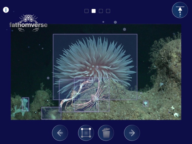 FathomVerse screenshot 17 of 36