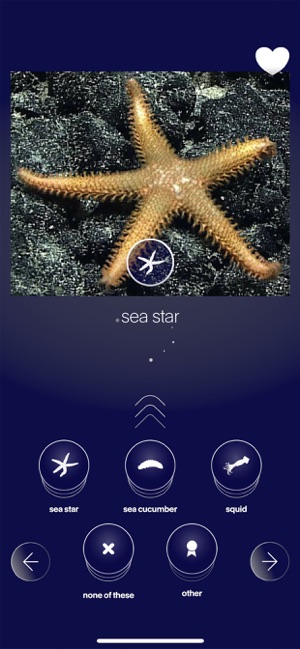 FathomVerse screenshot 6 of 36