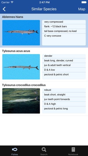 Fishes: Greater Caribbean screenshot 2 of 8