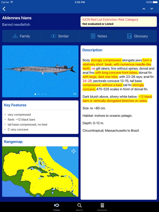 Fishes: Greater Caribbean screenshot 6 of 8