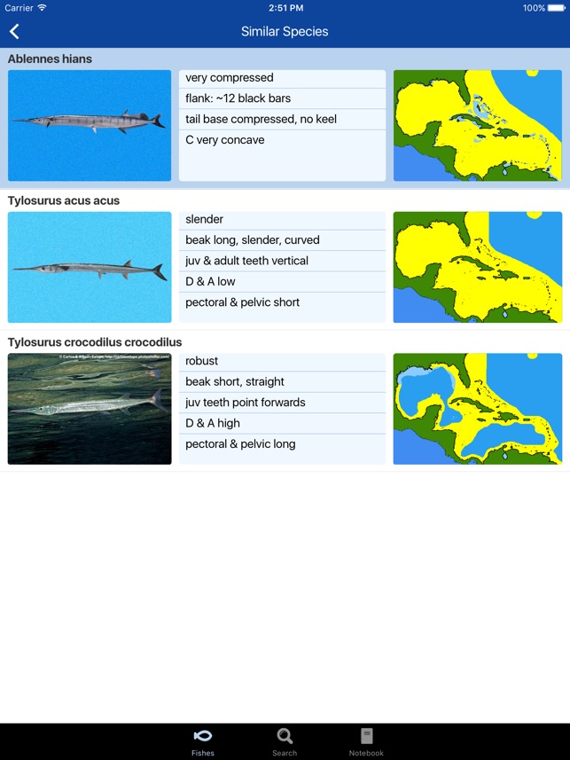 Fishes: Greater Caribbean screenshot 7 of 8