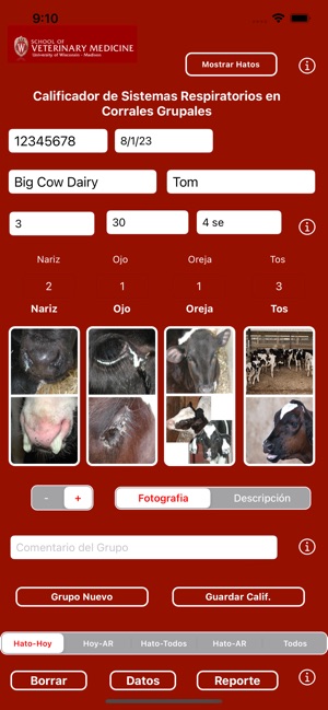 Group Pen Respiratory Scorer screenshot 14 of 20
